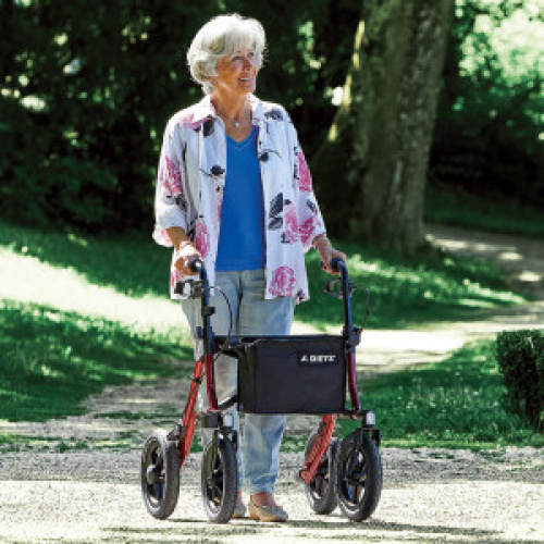 Caminadores y Bastones XL